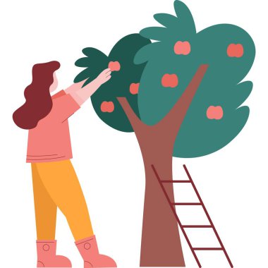 Elma ağacı ikonundan meyve toplayan vektör kadın çiftçi. Meyve bahçesi, çiftlik ve sonbahar hasadı, bahçe işleri konsepti