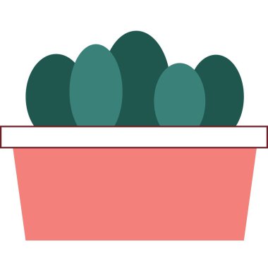 Tencere vektöründe kaktüs. Sulu bitki ikonu. Çiçek kaktüsü izole tasarımı. Beyaz arkaplanda seramik saksı