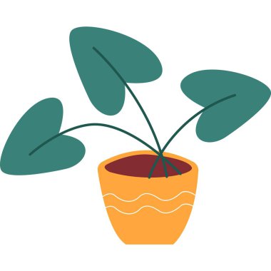 Saksı vektörü. Esrar ikonunda yetişen bitki. Beyaz arkaplanda saklanmış fidanlar