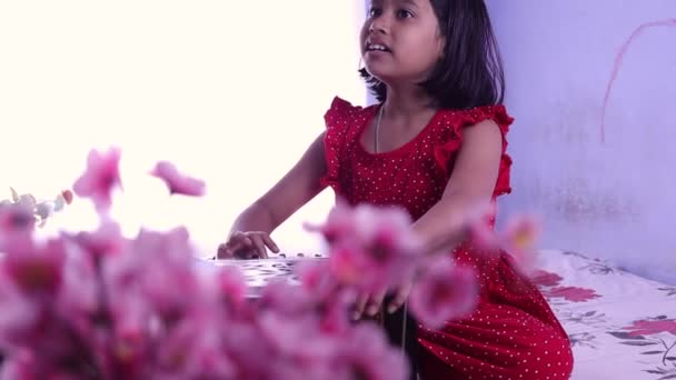 Ein Süßes Indisches Mädchen Das Auf Weißem Hintergrund Harmonium Singt — Stockvideo