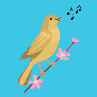 Vector illustration of a cartoon nightingale singing on a sakura branch