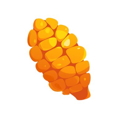 Mısır ikonu. Vejetaryen yemeği. Beyaz bir arka planda izole edilmiş. Moda çizgi film tarzında vektör illüstrasyon gıdaları.