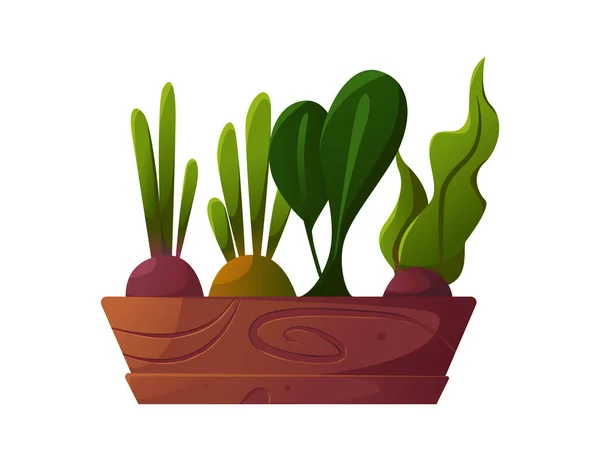 Gemüse Wächst Einer Niedlichen Holzkiste Gartenarbeit Pflanzen Organic Healthy Food — Stockvektor