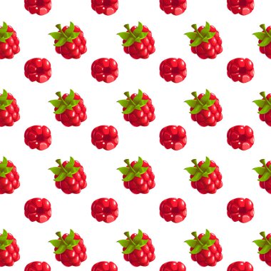 Kırmızı Ahududu Böğürtlenleri ve Beyaz Arkaplanda Yapraklar. Çizgi film Biçiminde Vektör İllüstrasyonu.