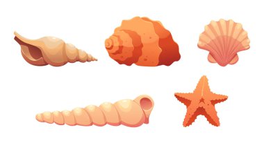 Beyaz Arkaplanda tecrit edilmiş deniz kabuğu ve deniz yıldızı seti. Modern Minimalist Simge. Çizgi film Biçiminde Vektör İllüstrasyonu. 