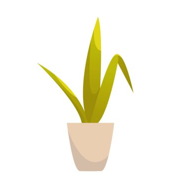 Saksı beyaz arka planda izole edilmiş. Dekoratif Ev Bitkisi. Bahçe Konsepti. Çizgi film Biçiminde Vektör İllüstrasyonu.