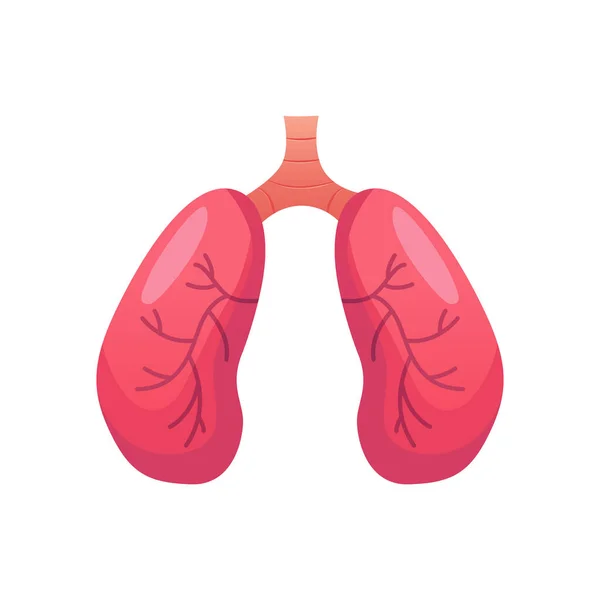 Ícone Dos Pulmões Órgão Humano Isolado Fundo Branco Anatomia Ilustração —  Vetores de Stock