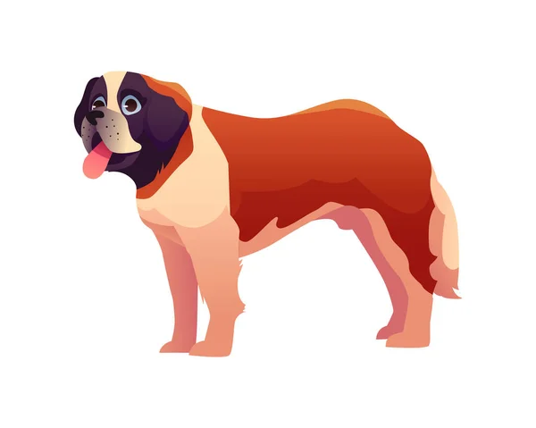 Saint Bernard Dog Breed Inglês Ilustração Vetorial Estilo Dos Desenhos —  Vetores de Stock