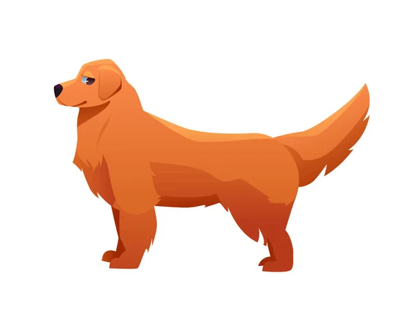 Golden Retriever Hunderasse Vektorillustration Cartoon Stil Niedlicher Hundecharakter — Stockvektor