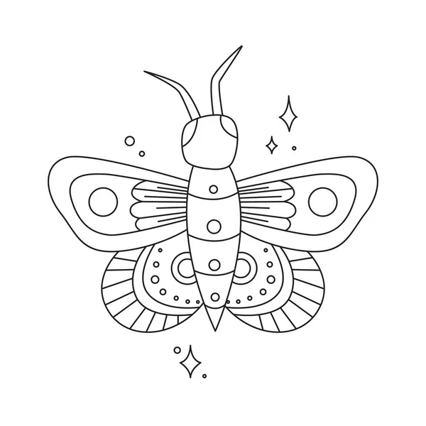 Dibujo Línea Contorno Mariposa Mágica Aislada Gran Diseño Para Cualquier — Archivo Imágenes Vectoriales