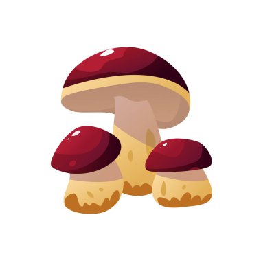 Beyaz Mantar Simgesi. Boletus Edulis, White 'ta izole edildi. Sonbahar elementleri. Çizgi film Biçiminde Vektör İllüstrasyonu. 