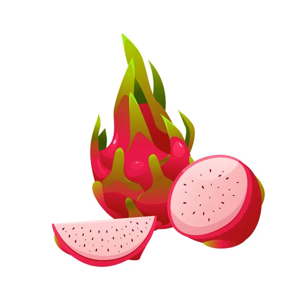 Drachenfrucht Pitaya Isoliert Summer Tropical Fruit Icon Vektorillustration Cartoon Stil — Stockvektor