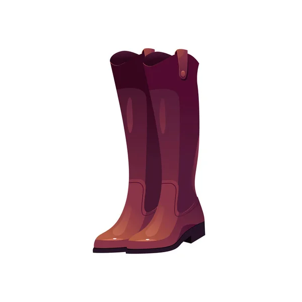 Knee High Boots Readings Women Footwear Vector Illustration Cartoon Style — Stock Vector