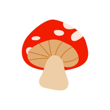 Fly Agaric Mantarı izole edildi. Vektör Düz Çizim. Amanita Simgesi.