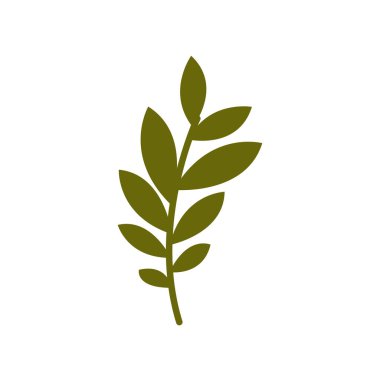 Ayrıntılı Yapraklar şubesi. Botanik elementi. Vektör Çiçek Düz Çizim.