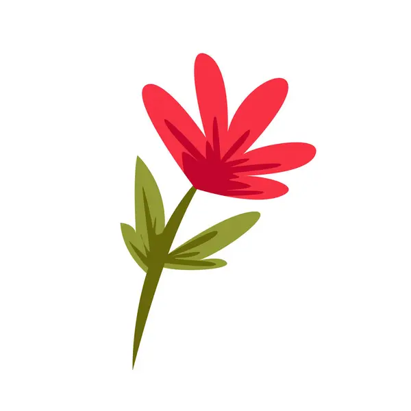 Röd Blomma Isolerad Vektor Blommig Flat Illustration — Stock vektor