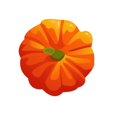 Balkabağı Top View. Sonbahar, Hasat, Şükran Günü Konsepti. Çizgi film Vektör illüstrasyonu.