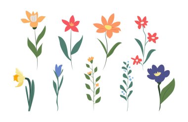 Çiçek ve botanik elementlerin toplanması. Bahar çiçekleri. Mutlu Paskalyalar. Vektör el çizimi resimleme.