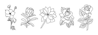 Çizgi çizgisi çiçek seti. Doğa çiçekleri, botanik tasarımı vektör çizimi.