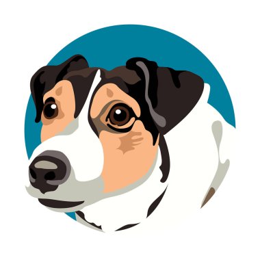 Parson Russell cinsi, şirin bir köpek. Çıkartma ya da çıkartma. Vektör illüstrasyonu