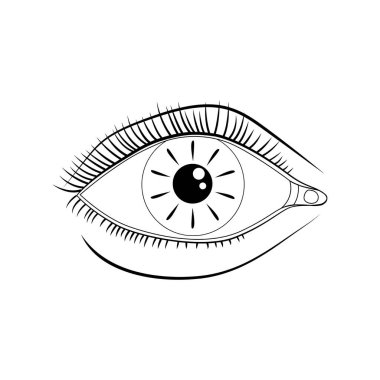 Bir kadın gözünün çizimi. Siyah çizgiler. Serbest çizim. Vektör illüstrasyonu