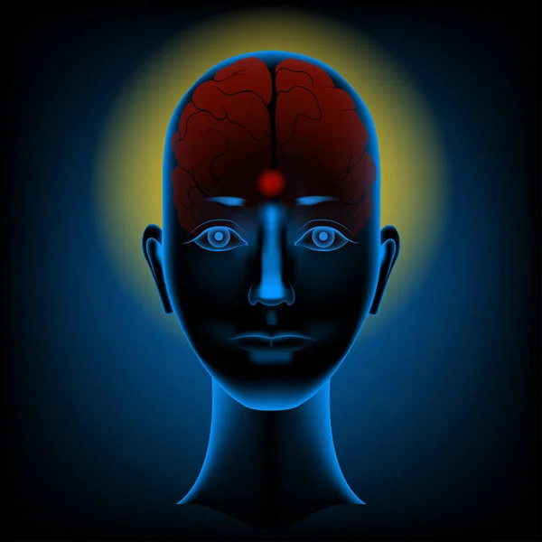 頭蓋骨に赤く光る脳 人間心理学 瞑想の実践 心の進化 ビンディ 額に赤い点 ベクターイラスト — ストックベクタ