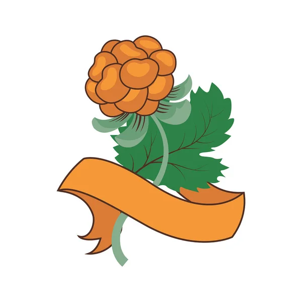 Pomerančový Ostružinový Stuhou Text Zelený List Dekorativní Obraz Vektorová Ilustrace — Stockový vektor