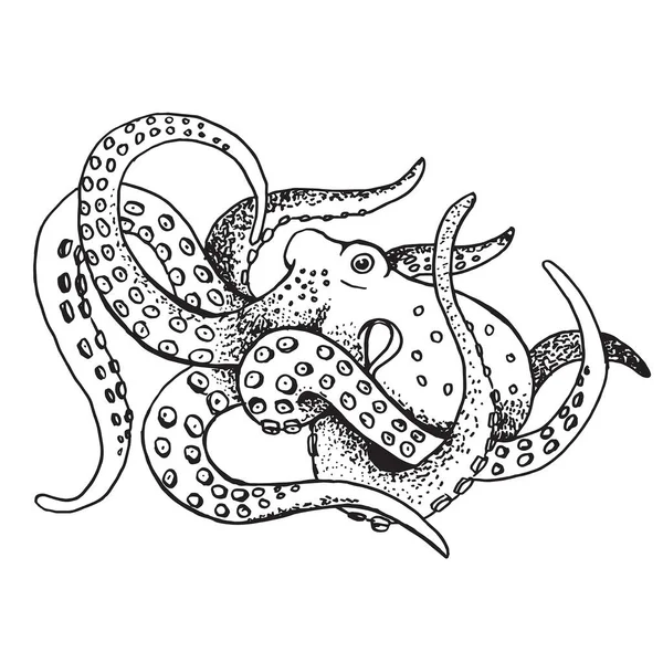 Černobílá Kresba Chobotnice Chapadla Černý Náčrtek Vektorová Ilustrace — Stockový vektor