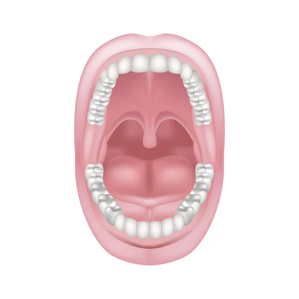 Frenum Corto Lengua Patología Cavidad Oral Anatomía Los Dientes Ilustración — Vector de stock