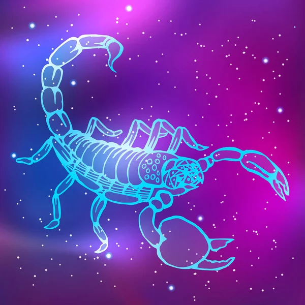 Escorpio Constelación Horóscopo Del Zodiaco Occidental Dibujo Animales Neón Ilustración — Vector de stock