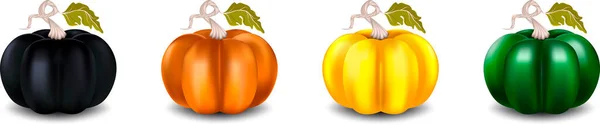 Set Multi Colored Realistic Pumpkins Vector Illustration — Stock Vector