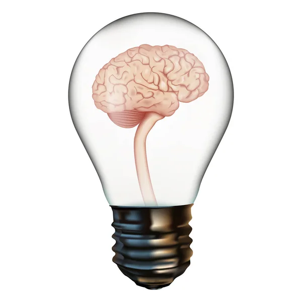Cervello Umano Realistico Una Lampadina Costruire Idea Illustrazione Vettoriale — Vettoriale Stock