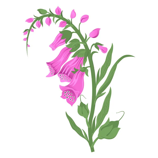Rukavice Fialová Léčivou Toxickou Rostlinu Zelená Větev Růžovými Květy Vektorová — Stockový vektor