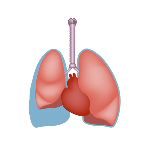 胸が張り裂ける 肺に過剰な流体 医療ポスター ベクターイラスト — ストックベクタ