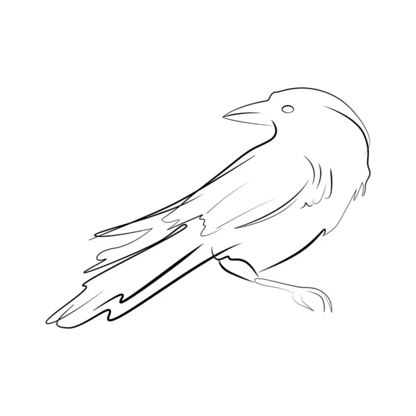 Corvo Com Cabeça Virada Desenho Linha Preta Minimalista Pássaro Ilustração — Vetor de Stock