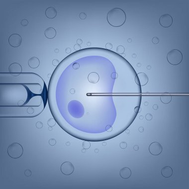 Yapay döllenme süreci. 