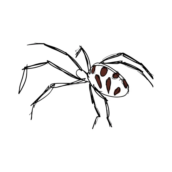 Abstraktní Minimalistický Náčrt Pavouka Černé Vdovy Kresba Čáry Čára Vektorová — Stockový vektor