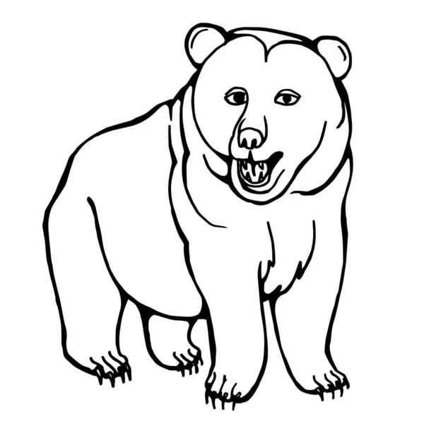 Szkic Słodkiego Niedźwiedzia Rysunek Linii Sztuka Linii Ilustracja Wektora — Wektor stockowy