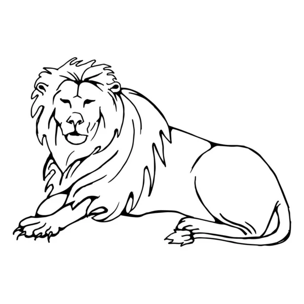 Абстрактный Минималистский Эскиз Льва Лежащего Земле Линейный Рисунок Рисунок Векторная — стоковый вектор