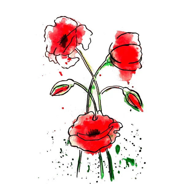 stock image Bouquet of bright red poppies, painted in watercolor with stains and splashes. Postcard template