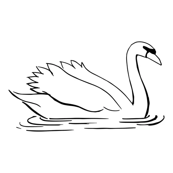 Cisne Flotando Agua Dibujado Por Una Línea Negra Plantilla Para — Vector de stock