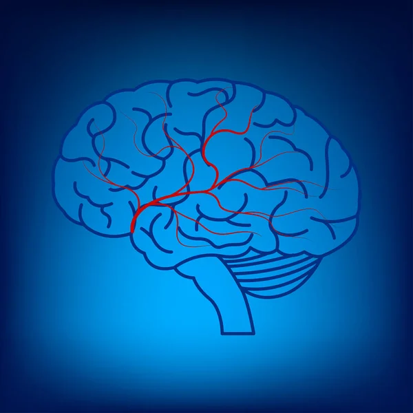 Niebieski Neonowy Świecący Mózg Naczyniami Krwionośnymi Plakat Medyczny Ilustracja Wektora — Wektor stockowy