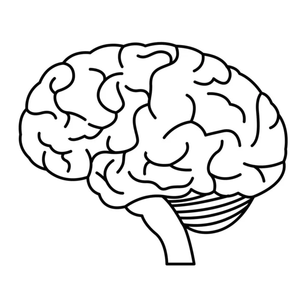 Icona Cerebrale Minima Bianco Nero Profilo Disegno Linee Nere Illustrazione — Vettoriale Stock