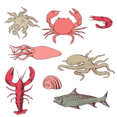 Deniz hayvanlarının renk çizimleri. Mutfak, market ya da ambalaj için tasarım. Vektör illüstrasyonu