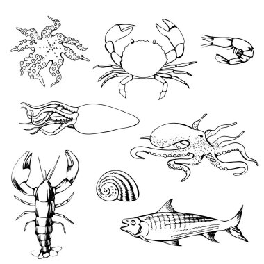 Deniz hayvanlarının siyah çizgi çizimleri. Mutfak, market ya da ambalaj için tasarım. Vektör illüstrasyonu