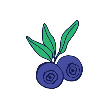 Yabanmersini çizimi. Çizgi çalışması. Vektör illüstrasyonu