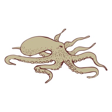 Ahtapot çizimi. Çizgi çalışması. Vektör illüstrasyonu