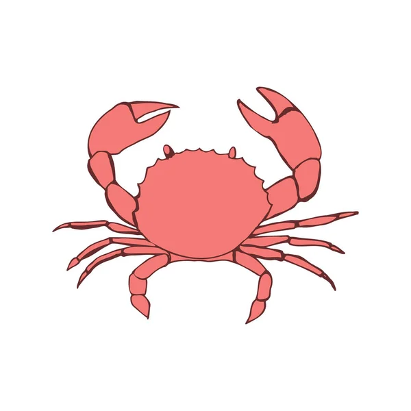 Drawing Crab Line Art Vector Illustration — Stock Vector