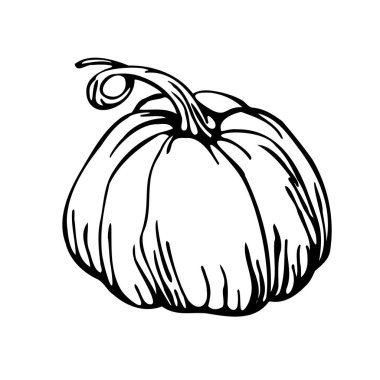 Siyah çizgilerle çizilmiş balkabağı. Asgari vektör illüstrasyonu