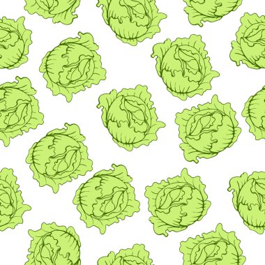 Lahana deseni. Paketleme, ambalaj kağıdı için. El çizimi. Vektör illüstrasyonu